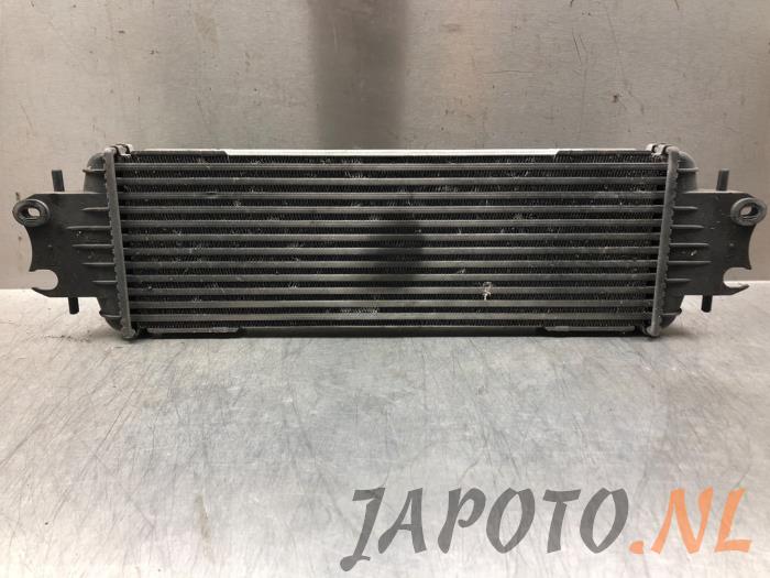 Usados Intercooler Nissan Primastar 1.9 dCi 80 Precio € 52,45 Norma de margen ofrecido por Japoto Parts B.V.
