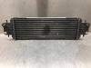 Intercooler from a Nissan Primastar, 2002 1.9 dCi 80, Delivery, Diesel, 1.870cc, 60kW (82pk), FWD, F9Q762, 2002-09 / 2006-08 2006