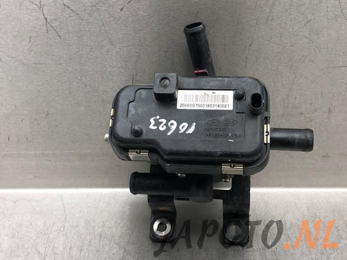 Begagnade Vattenpump Hyundai Ioniq EV Pris € 104,95 Marginaltabell erbjuds av Japoto Parts B.V.