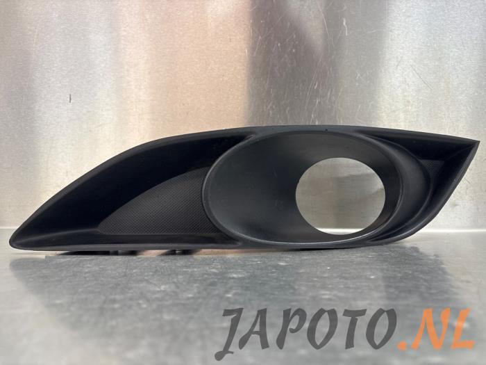 Front fog light grill