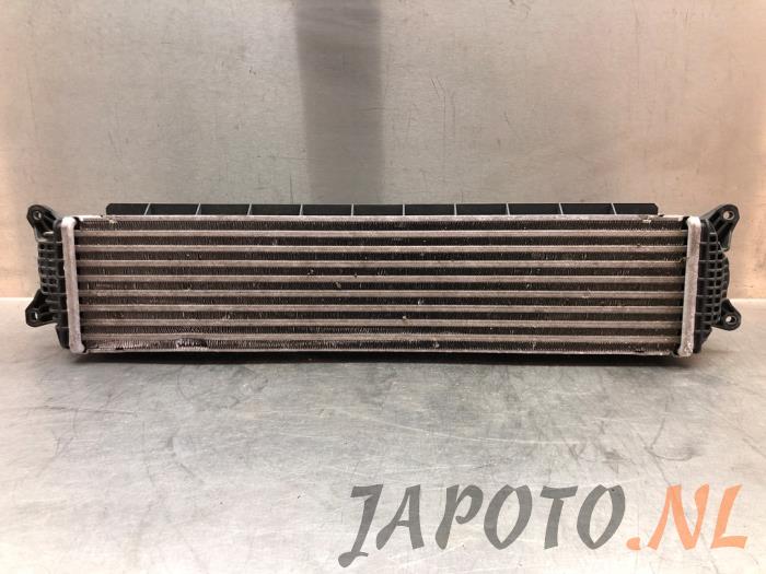 Usados Intercooler Hyundai I30 Fastback Precio € 314,95 Norma de margen ofrecido por Japoto Parts B.V.