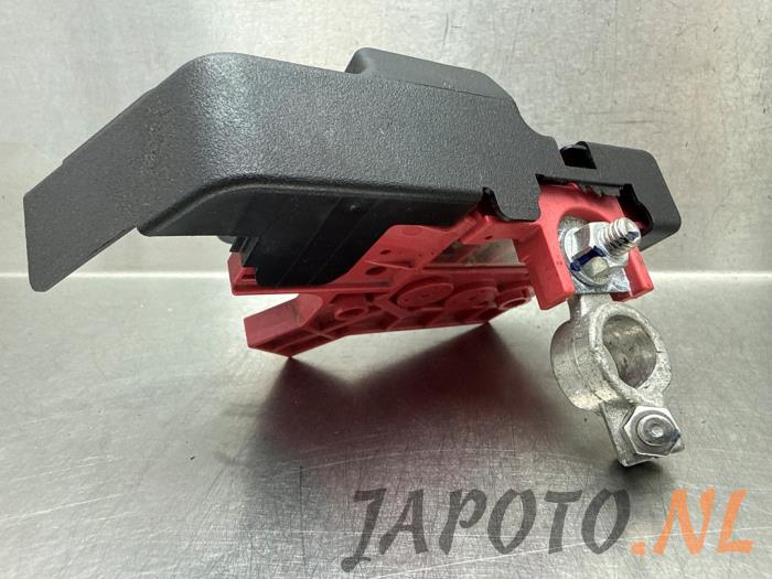 Używane Biegun akumulator Mazda MX-30 e-SkyActiv 145 Cena € 36,70 Procedura marży oferowane przez Japoto Parts B.V.
