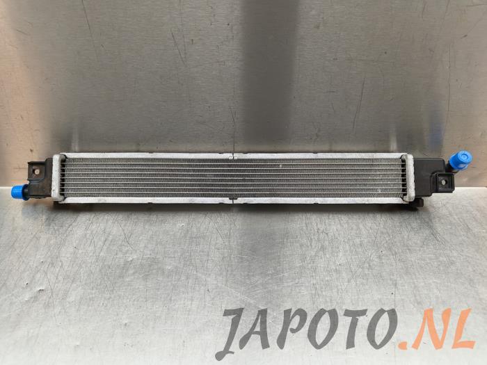 Usados Intercooler Hyundai Tucson (NX) 1.6 T-GDI PHEV 4WD Precio € 104,95 Norma de margen ofrecido por Japoto Parts B.V.