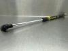 Lexus CT 200h 1.8 16V Gasdämpfer links hinten