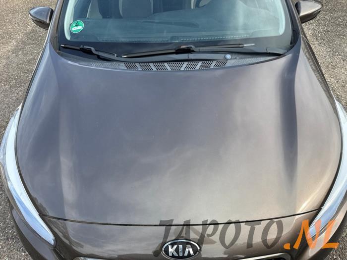 Używane Maska Kia Cee'd Sportswagon (JDC5) 1.6 GDI 16V Cena € 262,45 Procedura marży oferowane przez Japoto Parts B.V.
