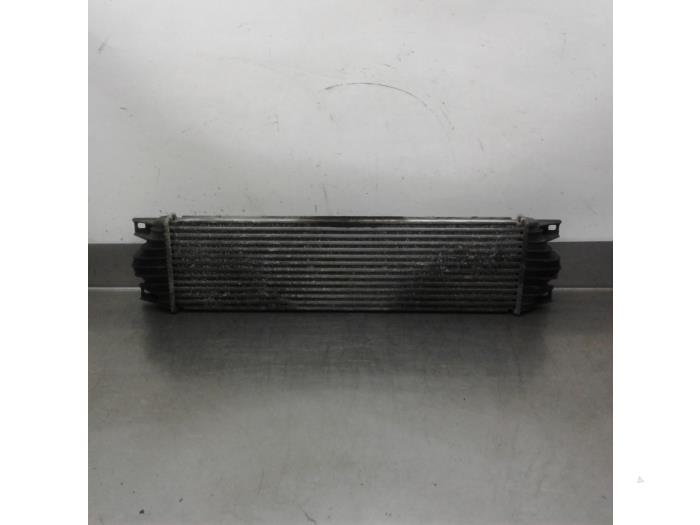Usagé Intercooler Nissan Interstar (X70) 2.2 dCi 16V Euro III Prix € 78,75 Règlement à la marge proposé par Japoto Parts B.V.