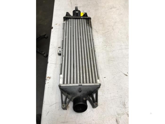 Usados Intercooler Iveco New Daily IV 40C12V, 40C12V/P Precio € 90,75 IVA incluido ofrecido por Poolman autodemontage