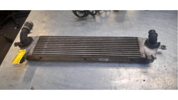 Used Intercooler Nissan Qashqai (J10) 2.0 dCi Price € 75,00 Margin scheme offered by Poolman autodemontage