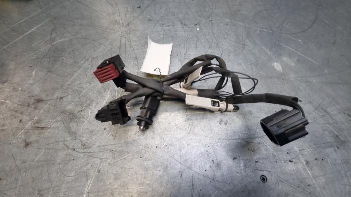 Headlight wiring loom