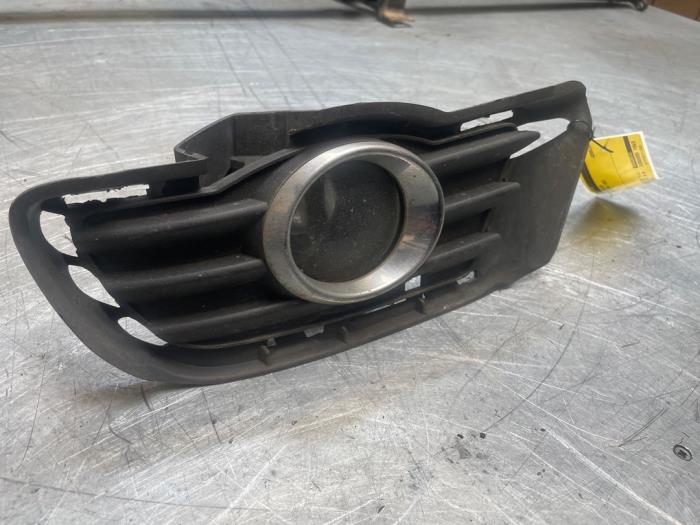 Front fog light grill