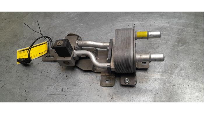 Usagé Valve d'expansion clim Volvo V60 I (FW/GW) 2.4 D6 20V Plug-in Hybrid AWD Prix € 49,00 Règlement à la marge proposé par Poolman autodemontage