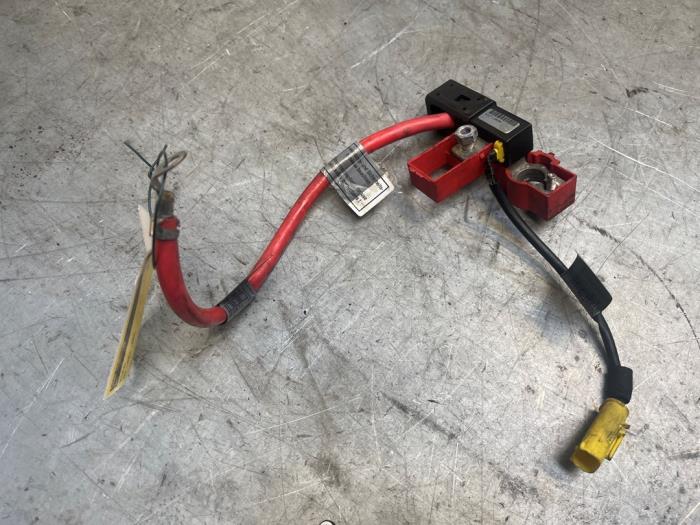 Używane Biegun akumulator BMW 3 serie (E46/2) 318 Ci 16V Cena € 30,00 Procedura marży oferowane przez Poolman autodemontage