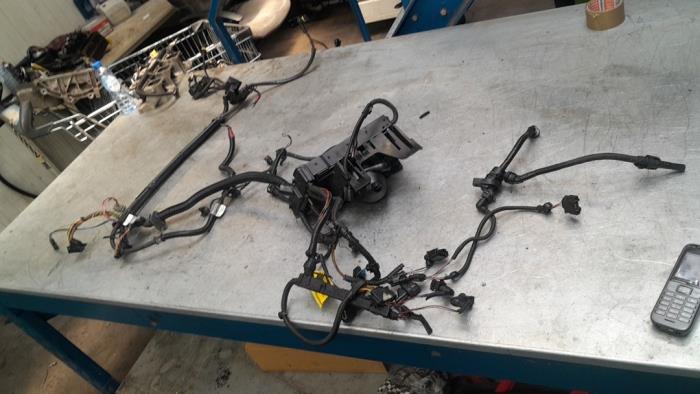 Alternator wires