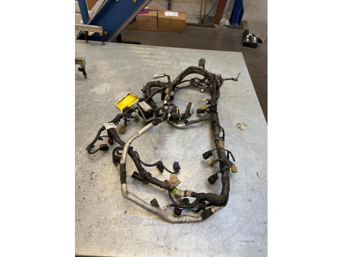 Begagnade Kablage Ford Usa Mustang VI Fastback 5.0 GT Ti-VCT V8 32V Pris € 150,00 Marginaltabell erbjuds av Poolman autodemontage