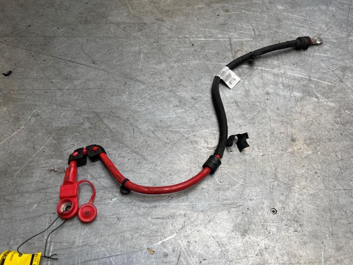 Używane Kabel (rózne) BMW 3 serie (G20) 320e 2.0 TwinPower Turbo 16V Cena € 20,00 Procedura marży oferowane przez Poolman autodemontage