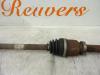 Front drive shaft, right from a Renault Clio III (BR/CR) 1.2 16V TCe 100 2008
