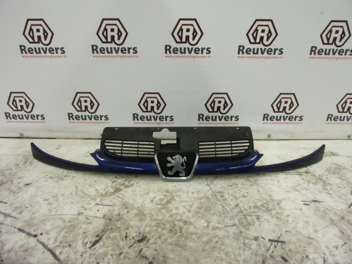 Begagnade Grill Peugeot 206 (2A/C/H/J/S) 1.4 XR,XS,XT,Gentry Pris € 25,00 Marginaltabell erbjuds av Autorecycling Reuvers B.V.