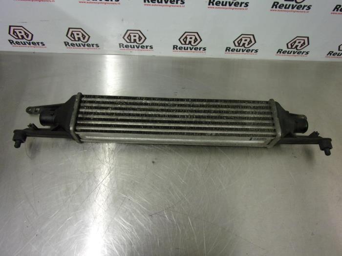 Usados Intercooler Fiat Punto Evo (199) 1.3 JTD Multijet 85 16V Euro 5 Precio € 35,00 Norma de margen ofrecido por Autorecycling Reuvers B.V.
