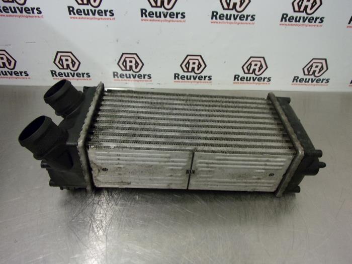 Usagé Intercooler Citroen C4 Picasso (UD/UE/UF) 1.6 HDiF 16V 110 Prix € 35,00 Règlement à la marge proposé par Autorecycling Reuvers B.V.