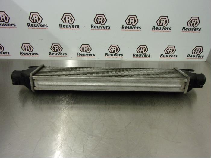 Used Intercooler Fiat Grande Punto (199) 1.4 T-Jet 16V Price € 30,00 Margin scheme offered by Autorecycling Reuvers B.V.