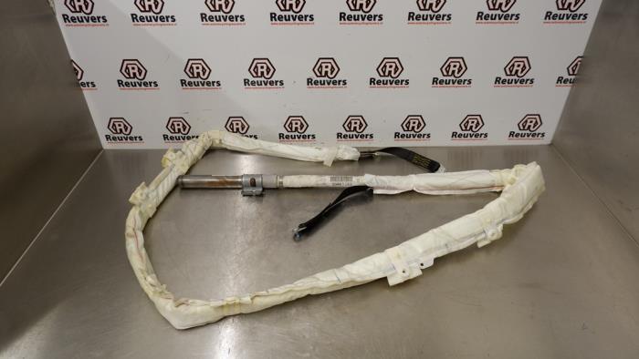 Roof airbag