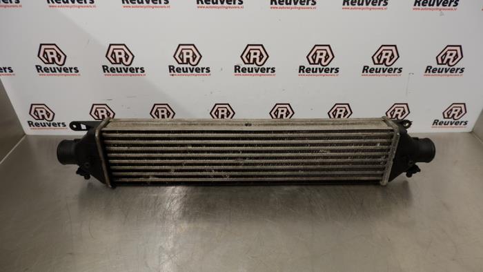 Usados Intercooler Opel Combo 1.3 CDTI 16V ecoFlex Precio € 30,00 Norma de margen ofrecido por Autorecycling Reuvers B.V.