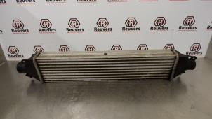 Intercooler from a Opel Combo 1.3 CDTI 16V ecoFlex 2012