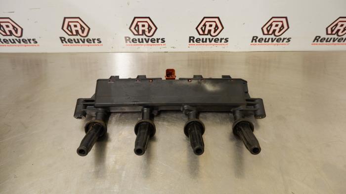 Usagé Bobine Peugeot 206 (2A/C/H/J/S) 1.1 XN,XR Prix € 35,00 Règlement à la marge proposé par Autorecycling Reuvers B.V.