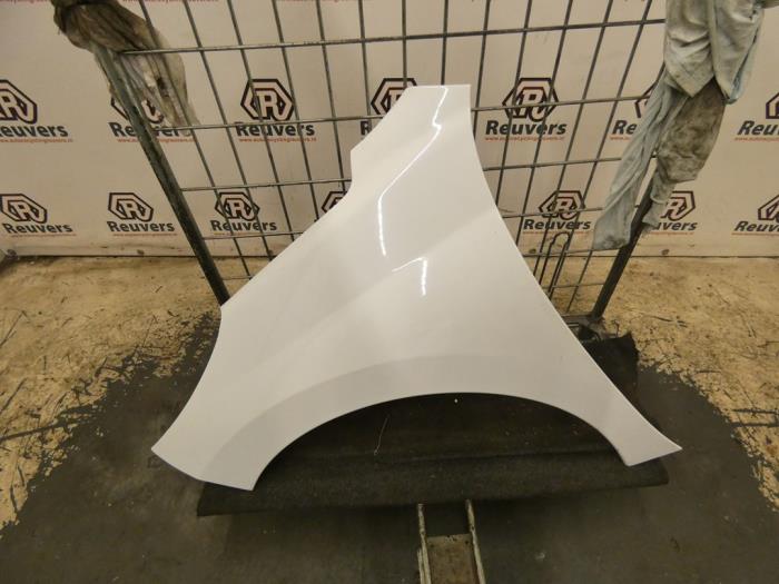 Front wing, left from a Peugeot 207/207+ (WA/WC/WM) 1.6 HDi 16V 2010
