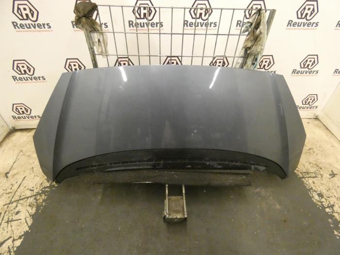 Używane Maska Peugeot 1007 (KM) 1.4 Cena € 125,00 Procedura marży oferowane przez Autorecycling Reuvers B.V.