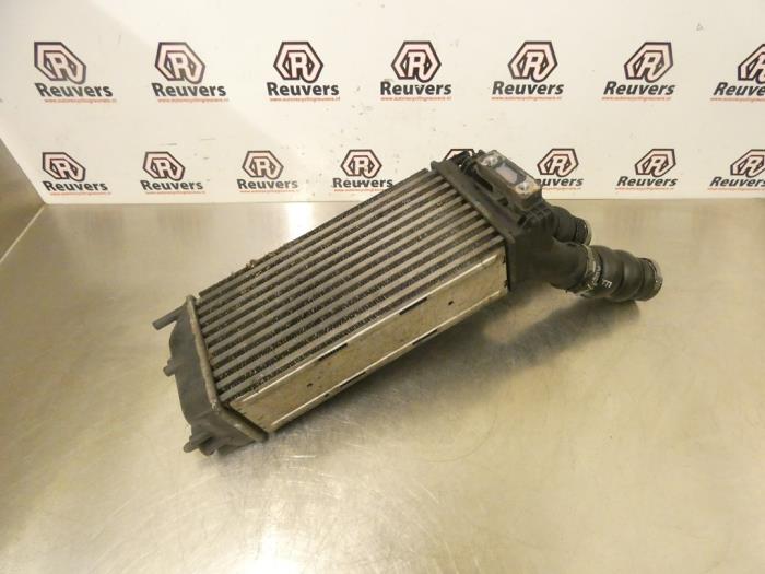 Gebrauchte Ladeluftkühler Citroen Berlingo 1.6 Hdi 75 16V Phase 1 Preis € 30,00 Margenregelung angeboten von Autorecycling Reuvers B.V.