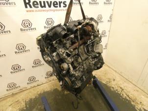 Used Engine Citroen Berlingo 1.6 Hdi 75 16V Phase 1 Price € 750,00 Margin scheme offered by Autorecycling Reuvers B.V.