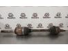 Land Rover Range Rover Sport (LS) 4.2 V8 32V Supercharged Arbre de transmission arrière droit