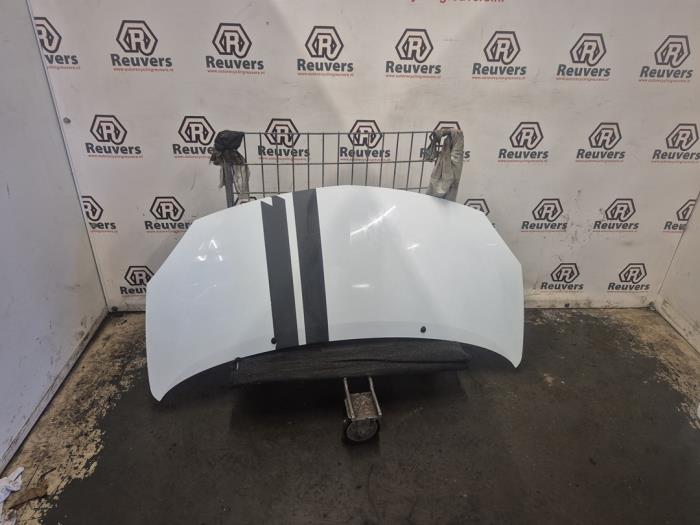 Używane Maska Renault Twingo II (CN) 1.2 16V Cena € 100,00 Procedura marży oferowane przez Autorecycling Reuvers B.V.