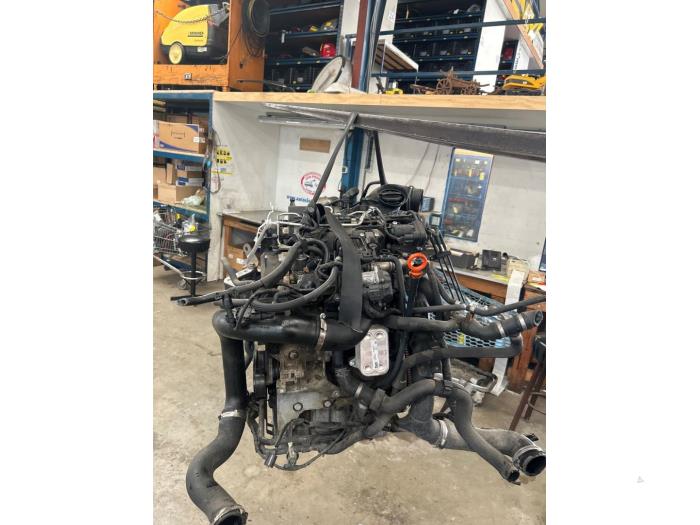 Engine Volkswagen Polo V 1.2 TDI 12V BlueMotion - XXXXXX CFW000