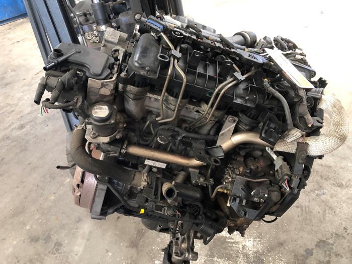 Engine Citroen Berlingo, 2008 / 2021 1.6 Hdi 75 16V Phase 1, Delivery, Diesel, 1.560cc, 55kW (75pk), FWD, DV6BUTED4; 9HT, 2008-04 / 2018-12 (Used)