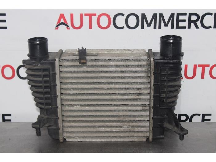 Intercooler from a Renault Modus/Grand Modus (JP) 1.2 16V TCE 100 2009