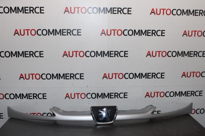 Begagnade Grill Peugeot 206 SW (2E/K) 1.6 16V Pris på förfrågan erbjuds av Autocommerce