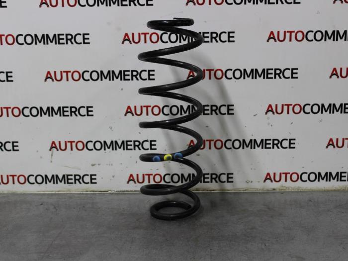 Citroen C4 Rear torsion springs stock | ProxyParts.com