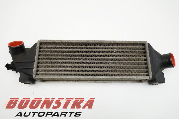 Intercooler from a Ford Transit 2.0 TDCi 16V 260S 2004