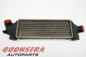 Used Intercooler Ford Transit 2.0 TDCi 16V 260S Price € 30,19 Inclusive VAT offered by Boonstra Autoparts