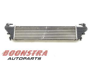 Used Intercooler Fiat 500L (199) 0.9 TwinAir Turbo 105 Price € 36,75 Margin scheme offered by Boonstra Autoparts