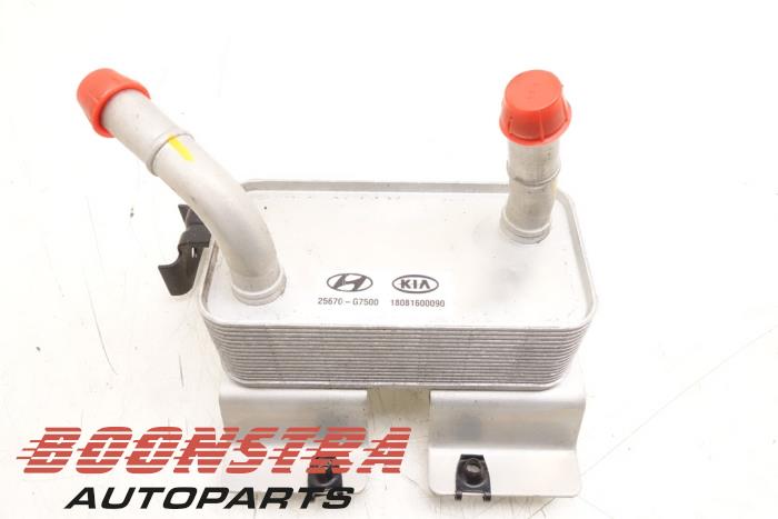 Usagé Refroidisseur clim Hyundai Ioniq EV Prix € 69,00 Règlement à la marge proposé par Boonstra Autoparts