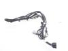 Kia Sportage (SL) 2.0 CVVT 16V 4x2 Pdc wiring harness