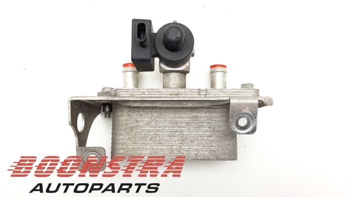Usagé Echangeur de chaleur Tesla Model X 100D Prix € 93,95 Règlement à la marge proposé par Boonstra Autoparts