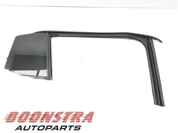 Rear door window