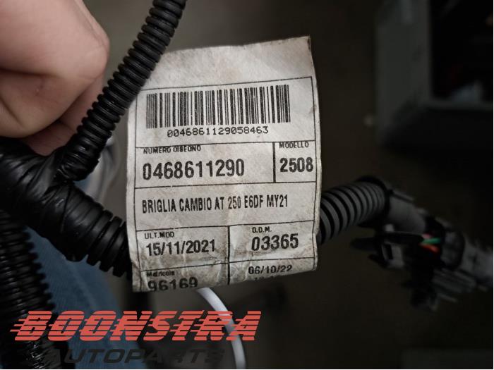Mazo de cables de un Fiat Ducato (250) 2.2 D 140 Multijet 3 2023