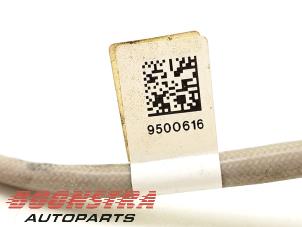 Sonde lambda d'un BMW M8 Gran Coupe (F93) 4.4 Competition V8 32V Twin Turbo 2021