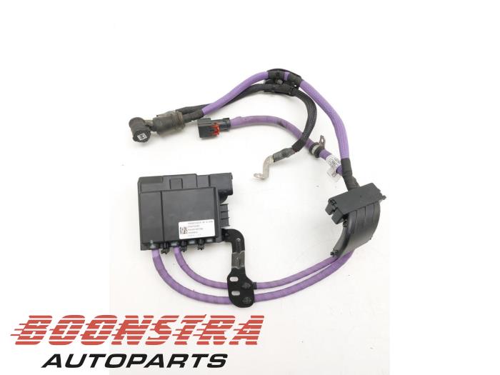 Używane Kabel (rózne) BMW 3 serie Touring (G21) 320d 2.0 TwinPower Turbo 16V Mild Hybrid Cena € 69,95 Procedura marży oferowane przez Boonstra Autoparts