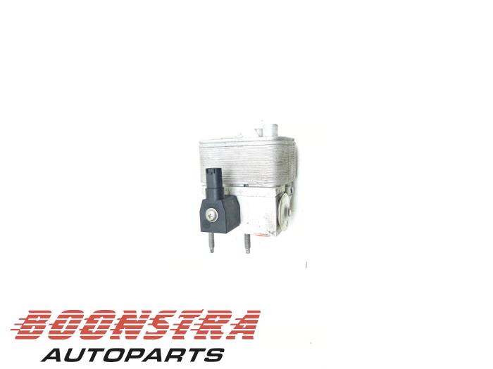 Used Cooling computer Peugeot 2008 (UD/UK/UR/US/UX) e-2008 50 kWh Price € 29,95 Margin scheme offered by Boonstra Autoparts